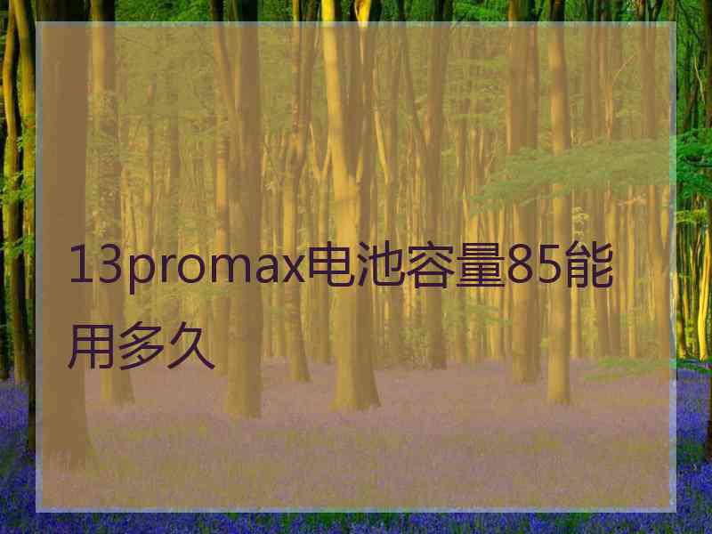 13promax电池容量85能用多久