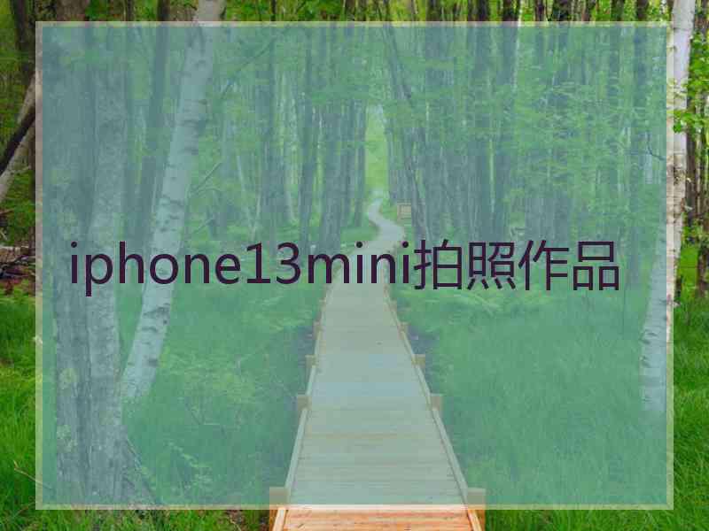 iphone13mini拍照作品