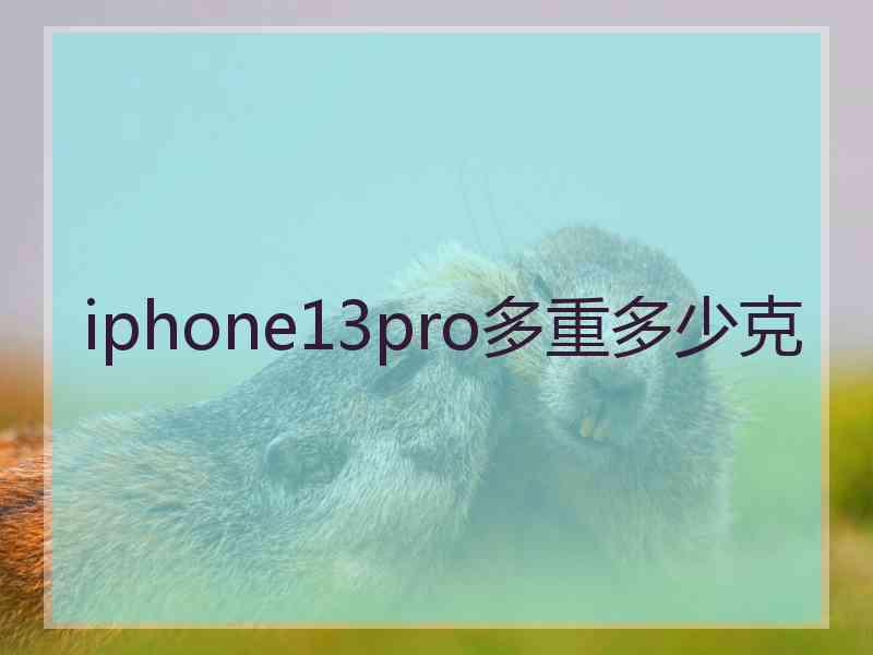 iphone13pro多重多少克