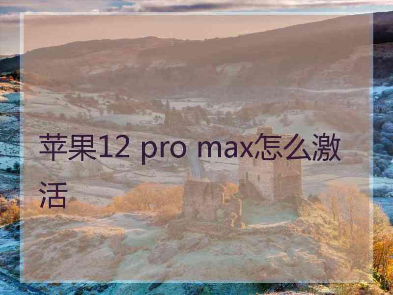 苹果12 pro max怎么激活