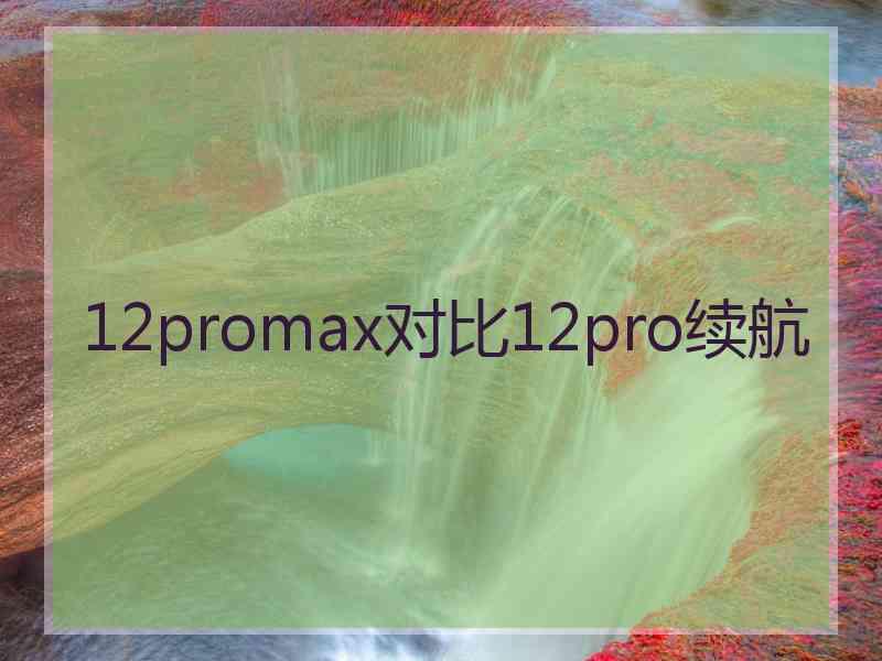 12promax对比12pro续航