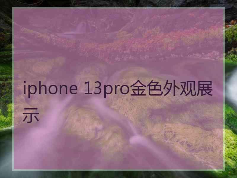 iphone 13pro金色外观展示