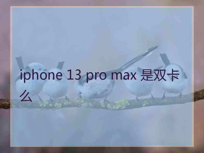 iphone 13 pro max 是双卡么