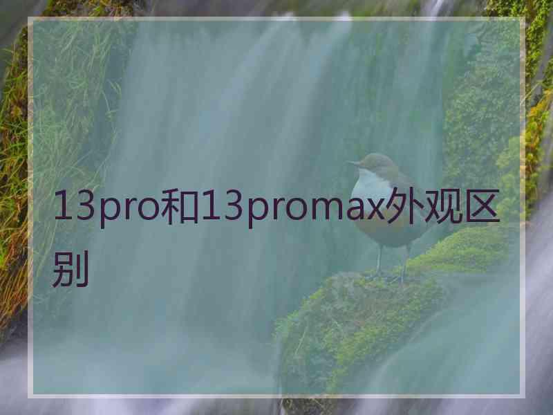 13pro和13promax外观区别