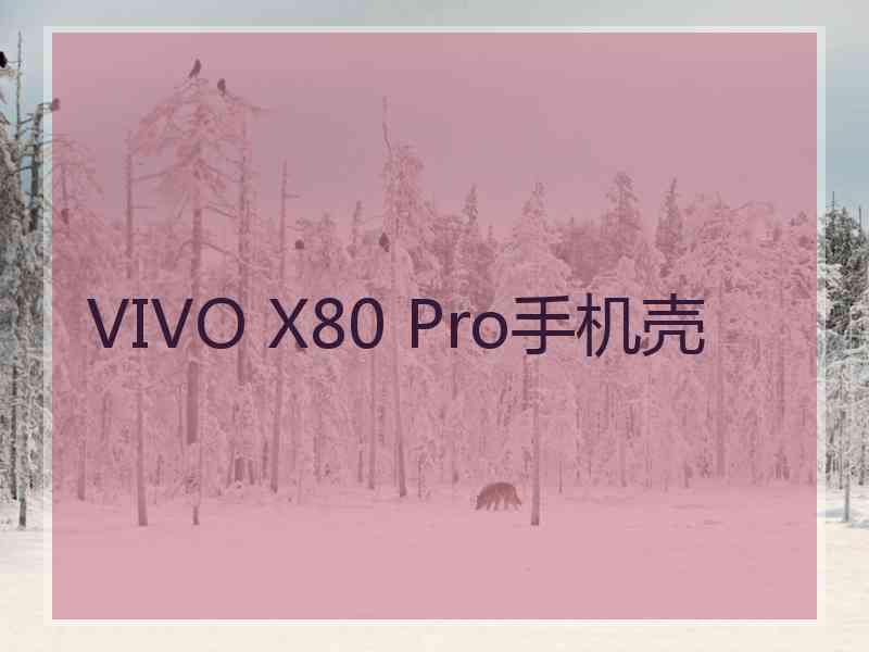 VIVO X80 Pro手机壳