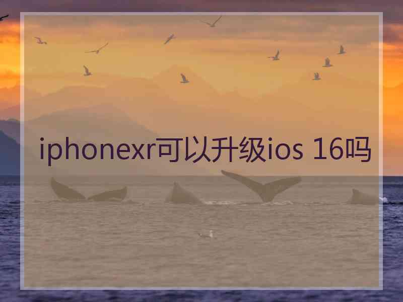 iphonexr可以升级ios 16吗