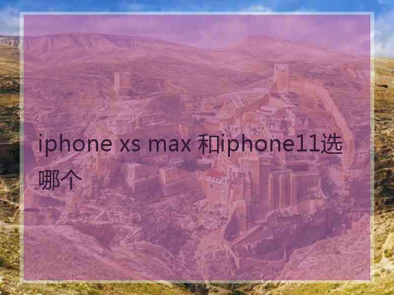 iphone xs max 和iphone11选哪个