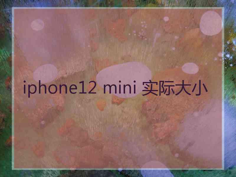 iphone12 mini 实际大小