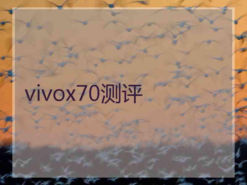 vivox70测评