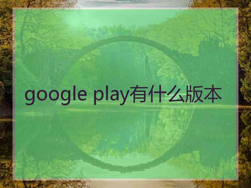 google play有什么版本