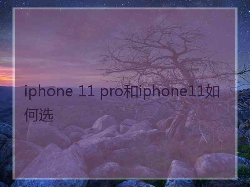 iphone 11 pro和iphone11如何选