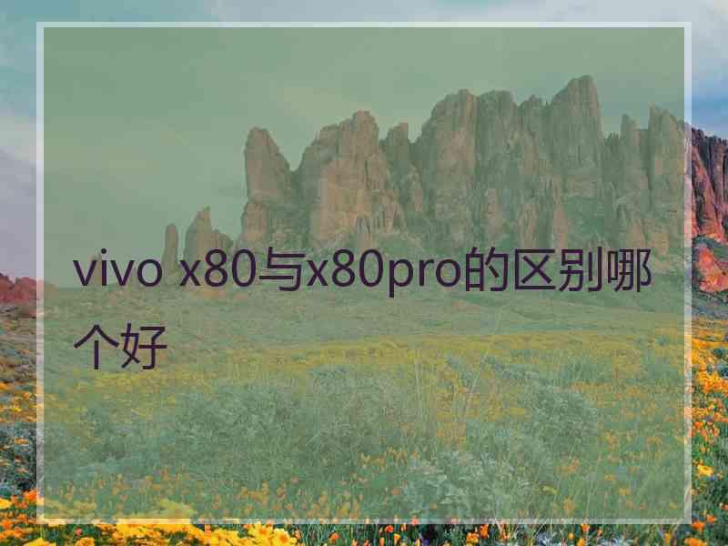 vivo x80与x80pro的区别哪个好