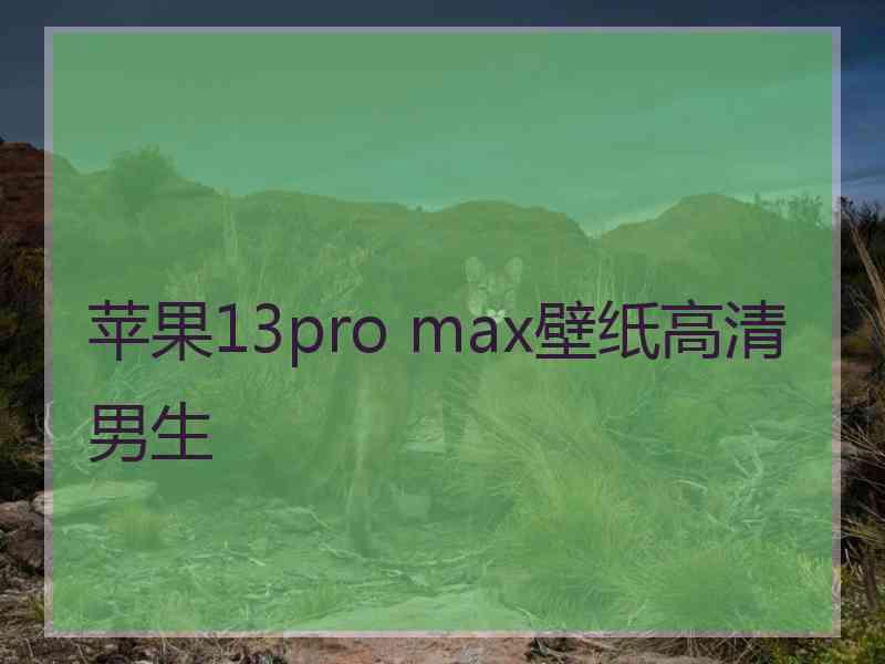 苹果13pro max壁纸高清男生