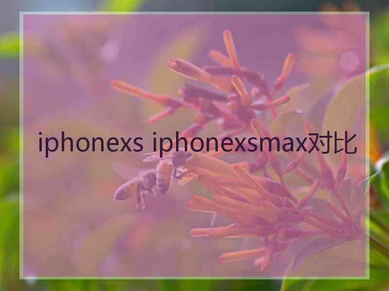 iphonexs iphonexsmax对比