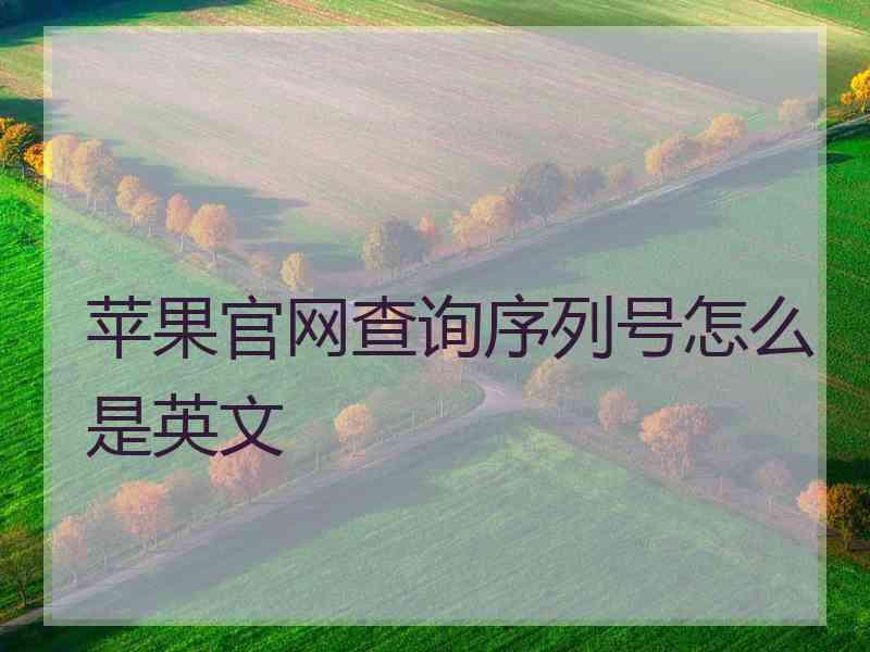 苹果官网查询序列号怎么是英文