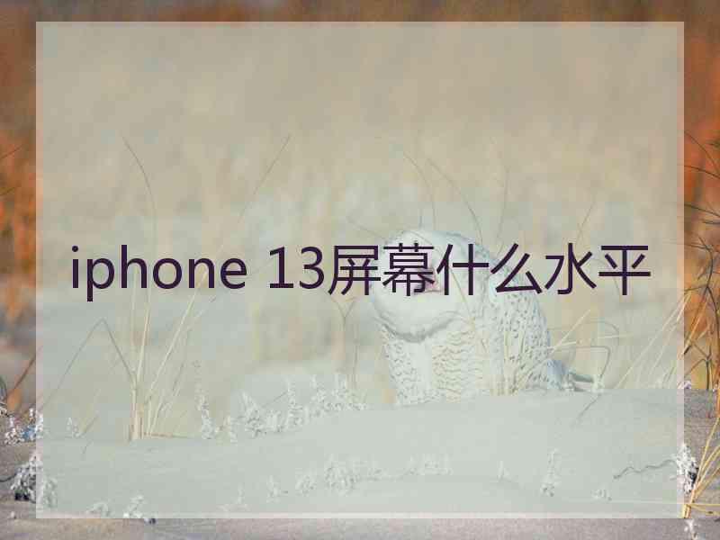 iphone 13屏幕什么水平