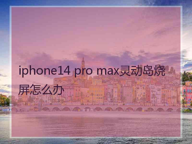 iphone14 pro max灵动岛烧屏怎么办