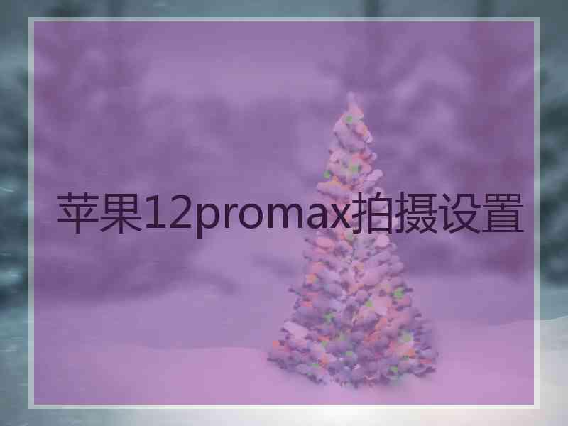 苹果12promax拍摄设置