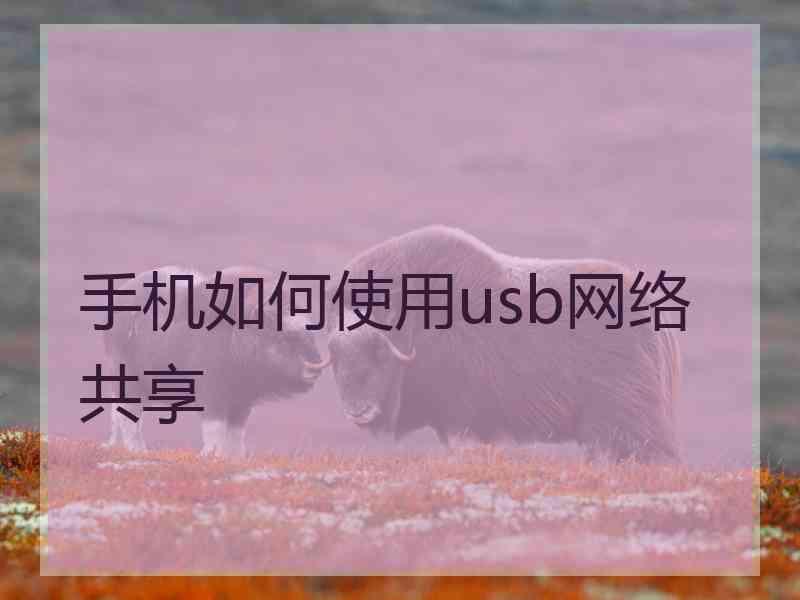 手机如何使用usb网络共享