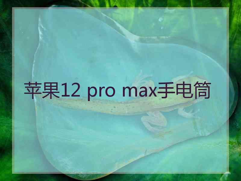 苹果12 pro max手电筒