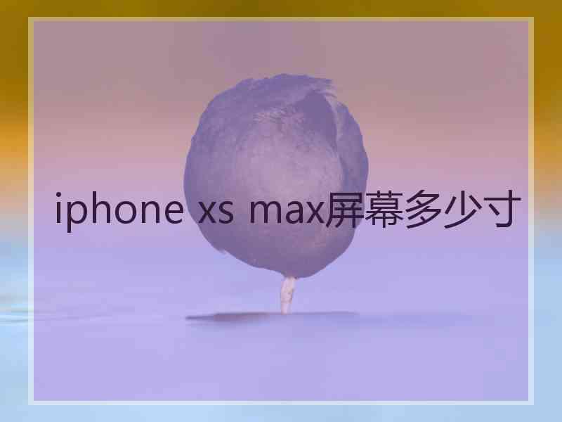 iphone xs max屏幕多少寸