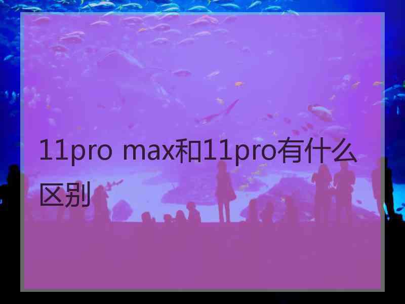 11pro max和11pro有什么区别