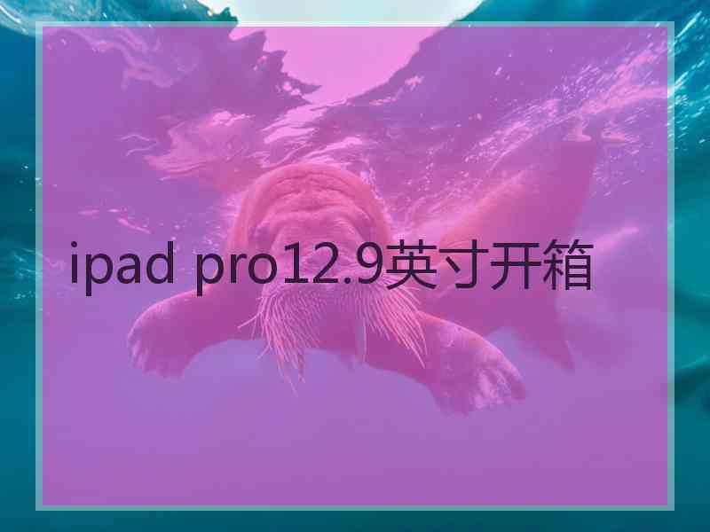 ipad pro12.9英寸开箱