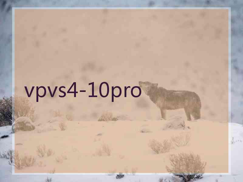 vpvs4-10pro