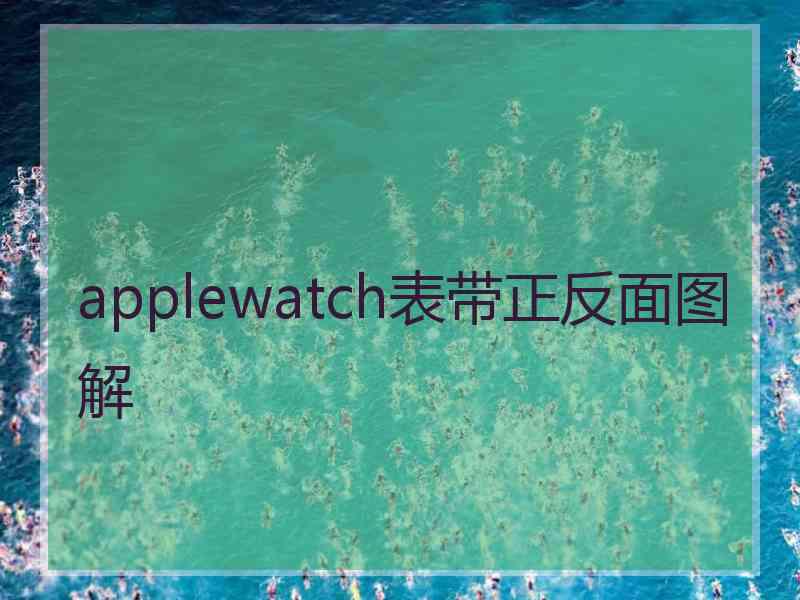 applewatch表带正反面图解