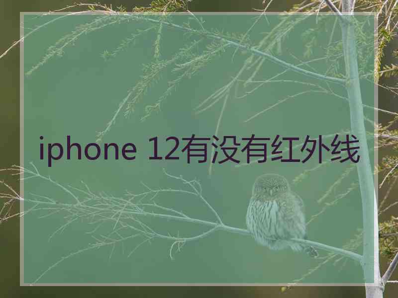 iphone 12有没有红外线