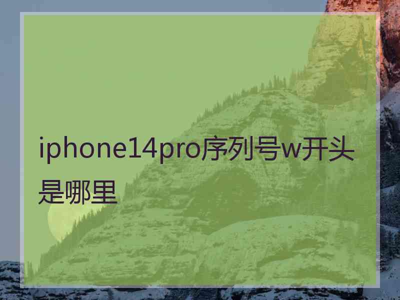 iphone14pro序列号w开头是哪里