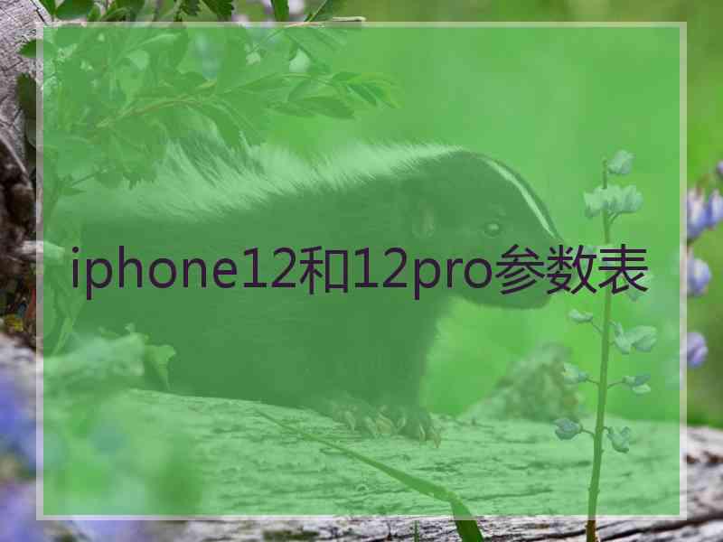 iphone12和12pro参数表