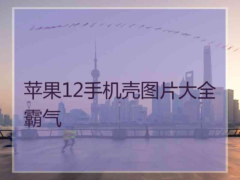 苹果12手机壳图片大全霸气