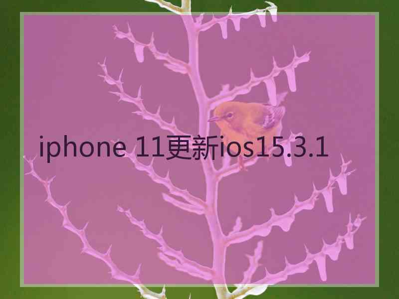 iphone 11更新ios15.3.1