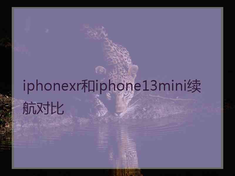 iphonexr和iphone13mini续航对比