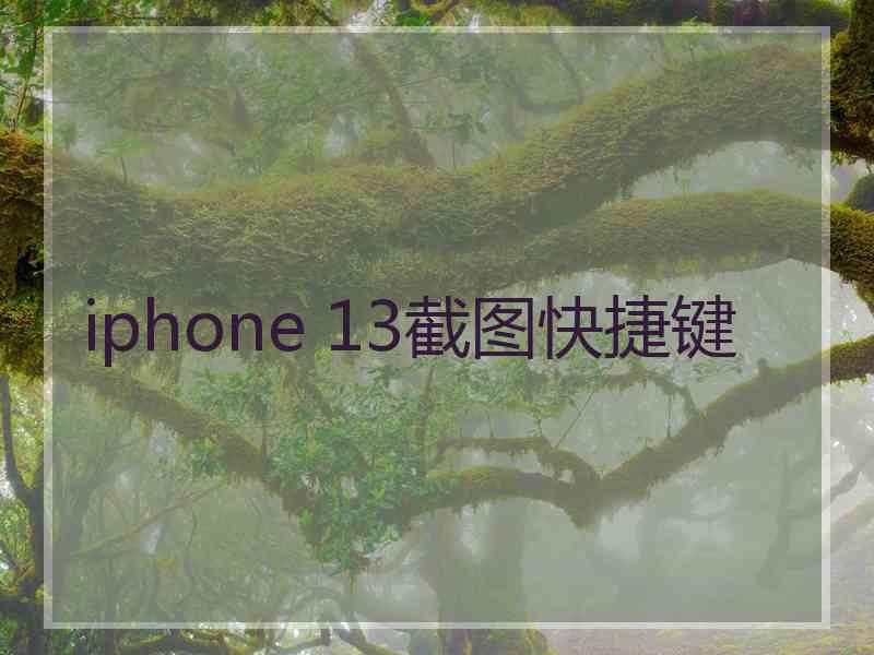 iphone 13截图快捷键