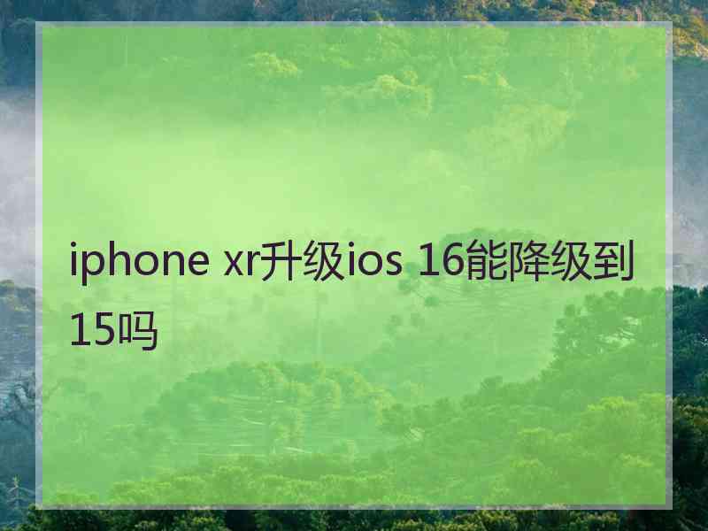 iphone xr升级ios 16能降级到15吗