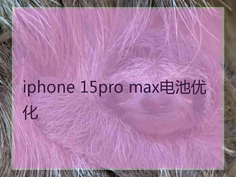 iphone 15pro max电池优化