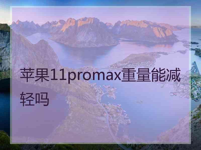 苹果11promax重量能减轻吗