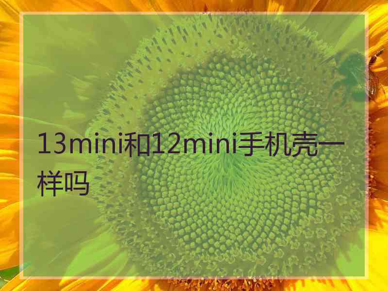 13mini和12mini手机壳一样吗