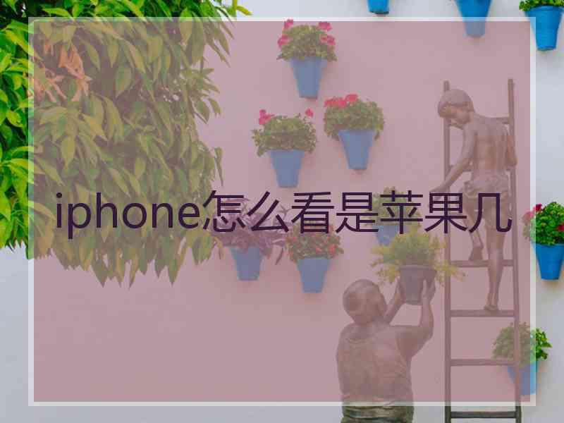 iphone怎么看是苹果几