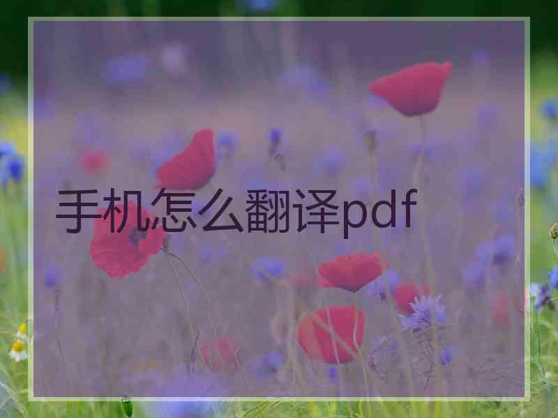 手机怎么翻译pdf