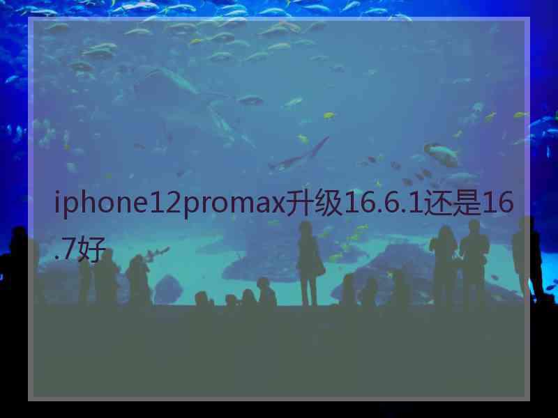 iphone12promax升级16.6.1还是16.7好