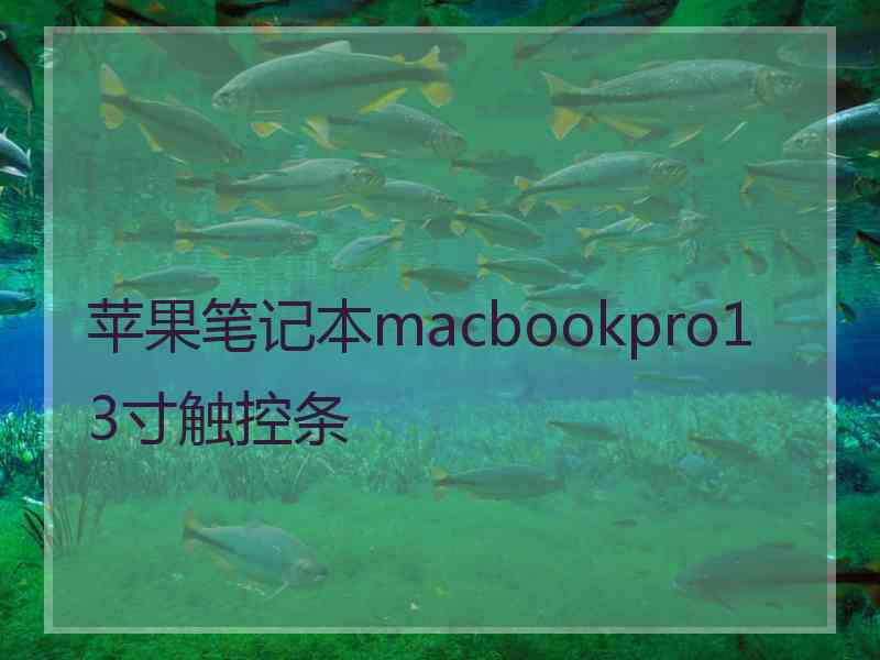 苹果笔记本macbookpro13寸触控条