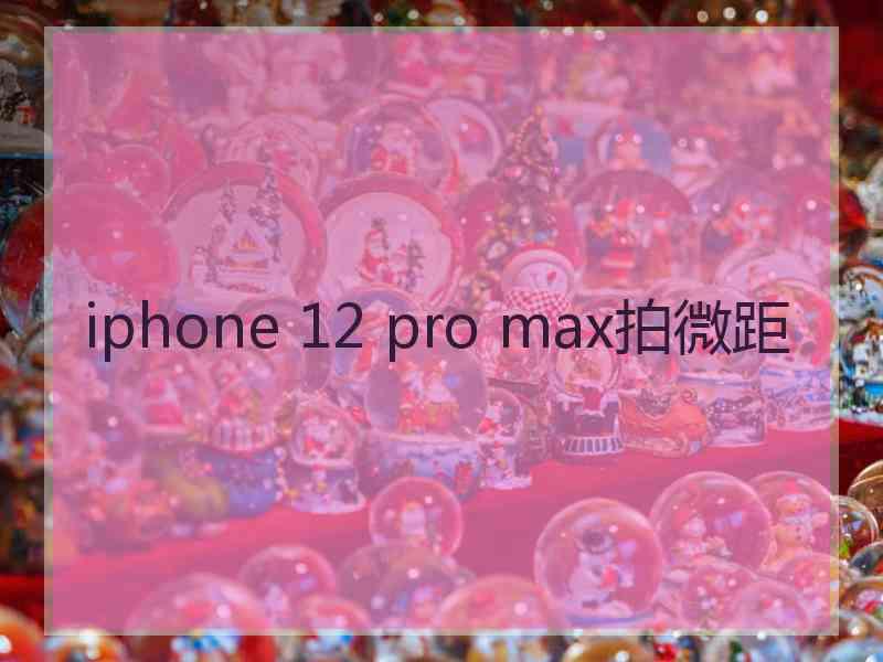 iphone 12 pro max拍微距