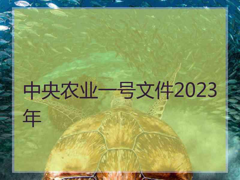 中央农业一号文件2023年