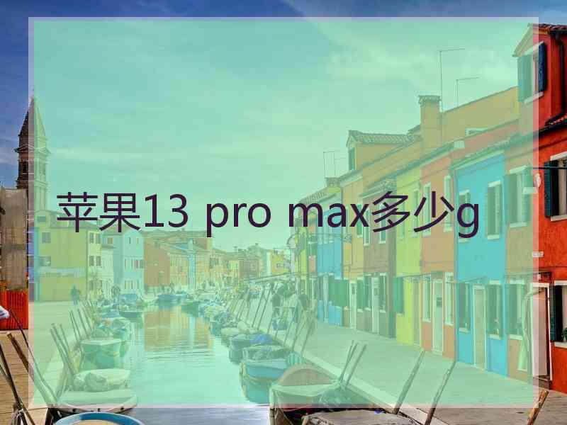 苹果13 pro max多少g