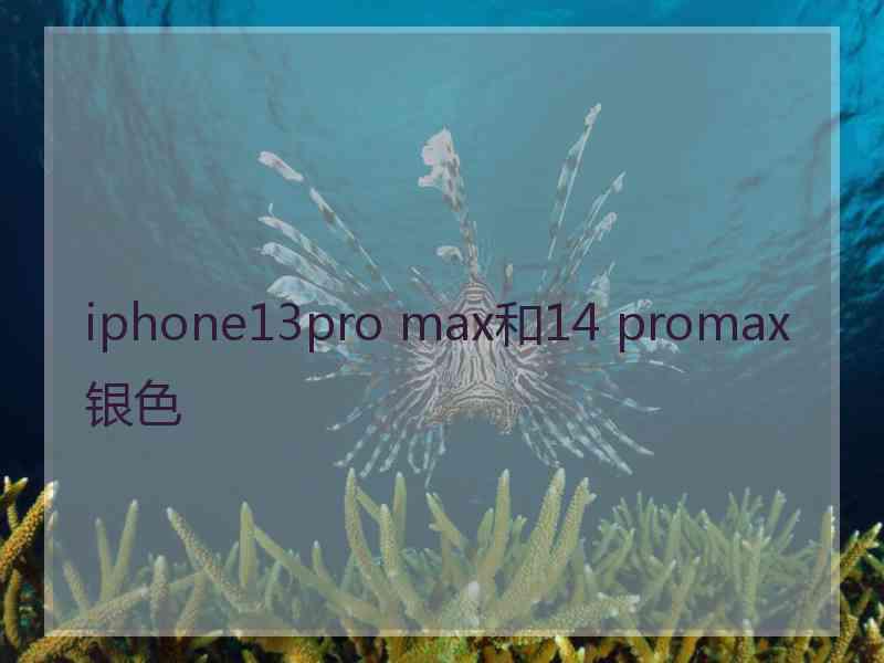 iphone13pro max和14 promax银色