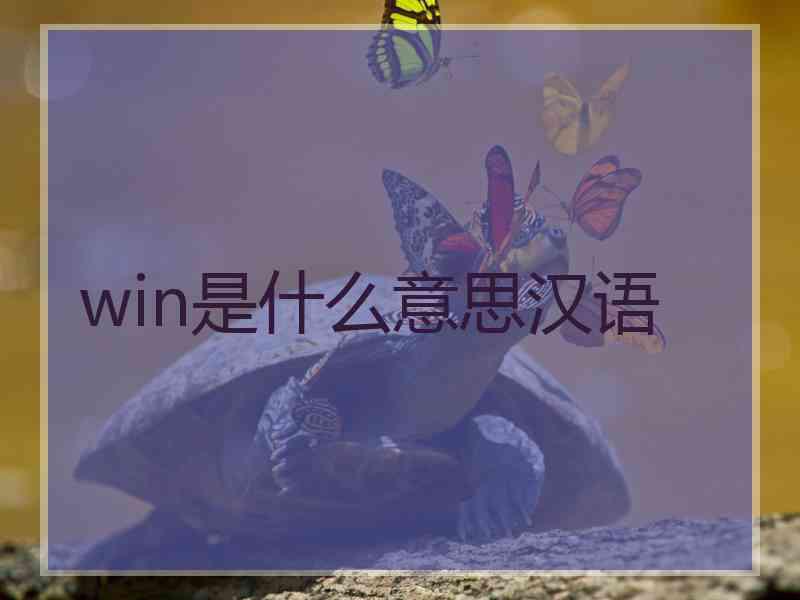 win是什么意思汉语