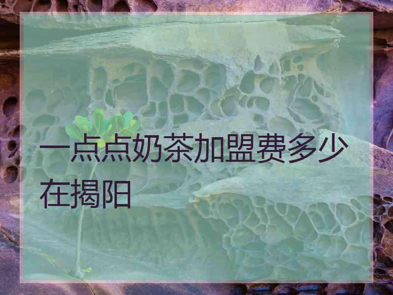 一点点奶茶加盟费多少在揭阳